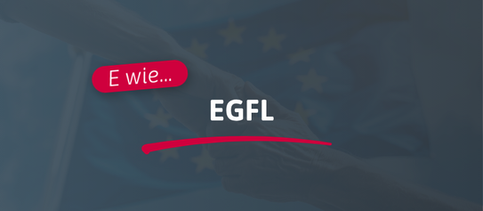 E wie... EGFL