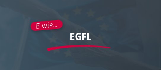 E wie... EGFL