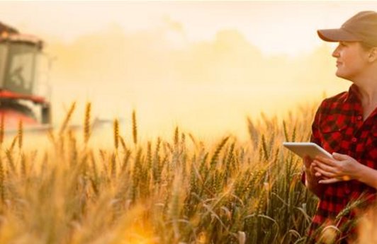 Eine Landwirtin steht mit Tablet in der Hand in einem Feld bei Sonnenschein. Im Hintergrund steht eine landwirtschaftliche Maschine. 