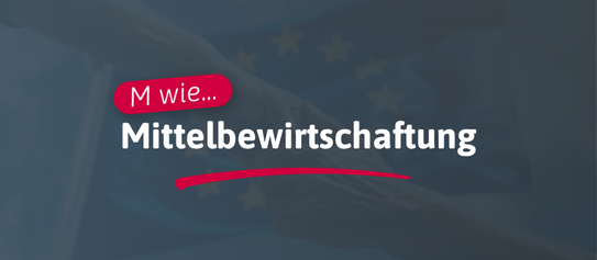 M wie... Mittelbewirtschaftung